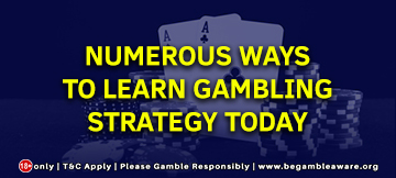 Numerous Ways to learn gambling strategy today
